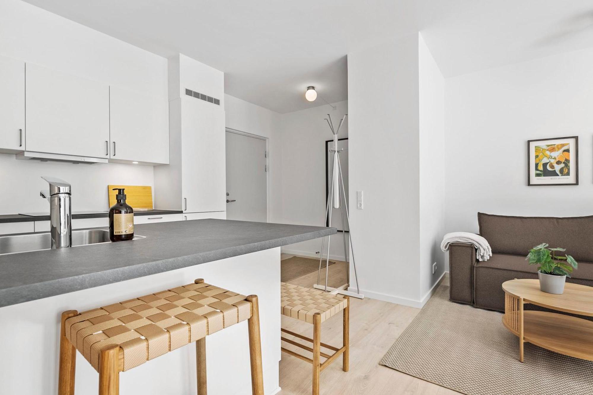 Inner City Grand Suite Århus Kültér fotó
